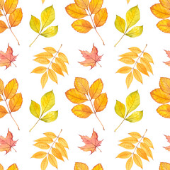 Autumn leaves seamless pattern.