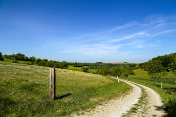 Fototapeta na wymiar Spring landscape with green meadows and blue sky