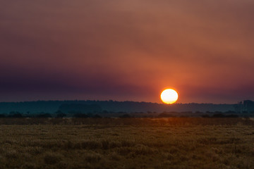 atardecer en el campo