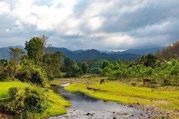 Fototapeta na wymiar River in the mountains in Vietnam