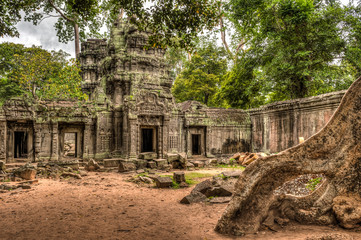 Naklejka premium Ta Prohm Temple, Angkor, Cambodia