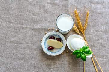 Healthy natural  food products for Shavuot - traditional Jewish holiday of Harvest rustic on linen napkin background