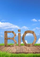 Bio, lettre bio dans l'herbe, concept