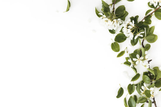Spring composition. Blooming spring pear branches on a white background, floral frame, top view, flat layout. Spring concept