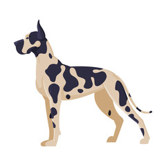 Dalmatian Purebred Dog, Pet Animal, Side View Vector Illustration