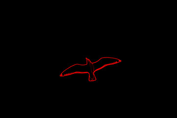 One flying gull in the form of a neon red outline on a black background.