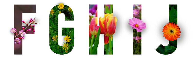 Floral letters. The letters F, G, H, I, J are made from colorful flower photos. A collection of...