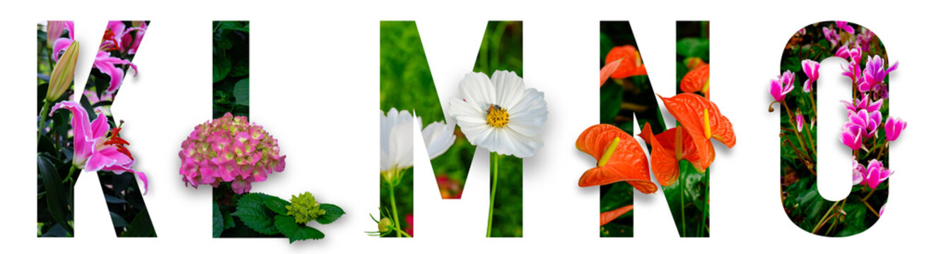 Floral letters. The letters K, L, M, N, O are made from colorful flower photos. A collection of wonderful flora letters for unique spring. flower on a white isolated background with clipping path