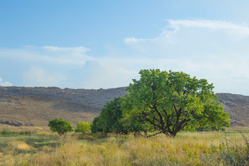 nature, landscape, sky, grass, field, green, meadow, summer, hill, blue, countryside, rural, mountain, panorama, tree, forest, country, clouds, cloud, farm, agriculture, spring, land, horizon, view