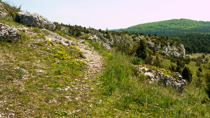 View of the Sokolich Mountains Reserve and rock stones in Olsztyn. A free space for an inscription