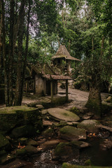 magic garden buddha in thailand