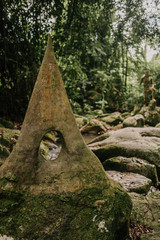 buddha statue in the woods