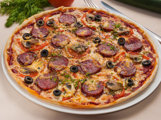 delicious pizza with salami, mushrooms and olives