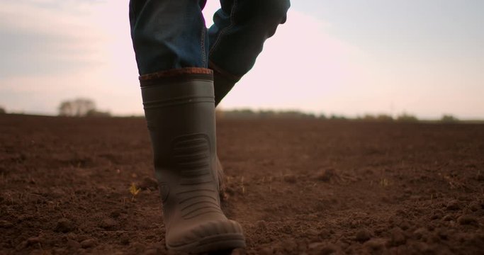 Low angle view Slow motion. Follow to male farmers feet in boots walking through the small green sprouts of sunflower on the field. Legs of young man stepping on the dry soil at the meadow