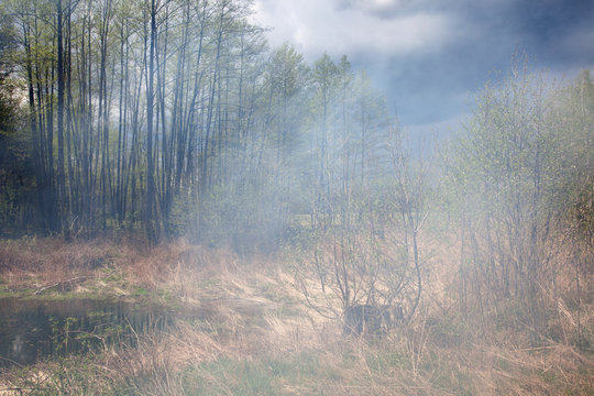 Las nad stawem spowity dymem z ogniska z burzowym niebem.