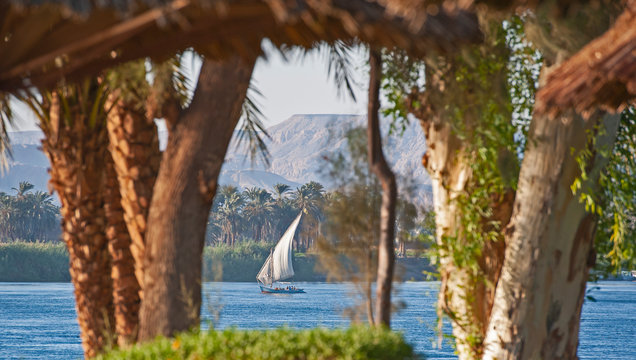 Traditional egyptian felluca sailing boat on Nile