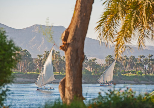 Traditional egyptian felluca sailing boat on Nile