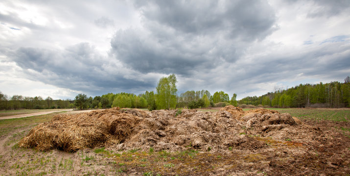 Obornik 이미지 찾아보기 94 스톡 사진, 벡터 및 비디오 Adobe Stock