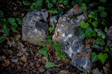 Pietra nel giardino