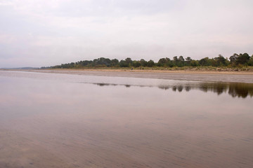 Yagry in Severodvinsk. Unique pine forest. white sea coast. sea tide