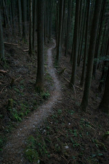 山道