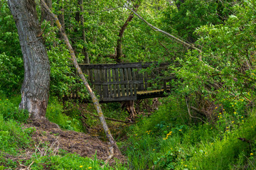 Rzeka Narew. Narwiański Park Narodowy, Podlasie, Polska © podlaski49