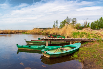 Fototapeta na wymiar Rzeka Narew. Narwiański Park Narodowy, Podlasie, Polska