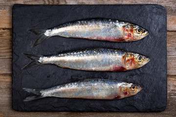 Sardines on slate background