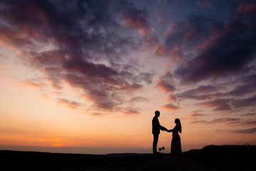 silhouettes of the bride and groom, the newlyweds look at each other holding hands. Wedding photography concept. copy space