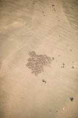 Trace dans le sable