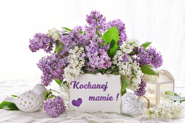 bunch of lilac blossoms for Mothers Day with inscription in Polish language translated as  For dear mom - obrazy, fototapety, plakaty