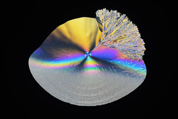 Colorful micro crystals in polarized light. Photo through a microscope.