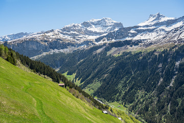 Fototapeta na wymiar Chammliberg, Blick von der Klausenpassstrasse, Kt. Uri, Schweiz