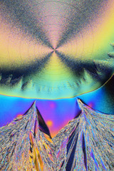 Colorful micro crystals in polarized light. Photo through a microscope.