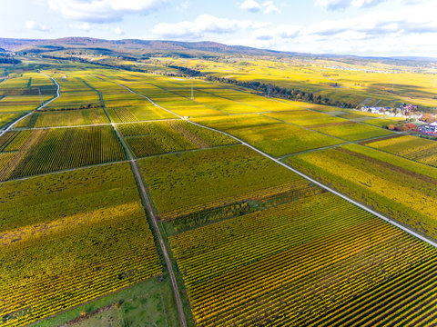 Scenic View Of Agricultural Field Against Sky © sebastian pallek/EyeEm