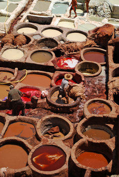 Men Tanning Leather in Fes, Morocco