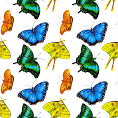 Tropical colorful butterlies on a white background. Seamless pattern design for wallpaper, paper, packaging, textile, fabric.