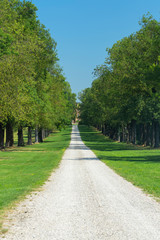 Country landscape in Reggio Emilia province