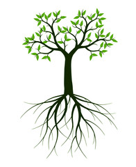 Green Tree with Leaves. Vector outline Illustration. Plant in Garden.