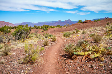 hiking the grandview trail at the south rim of grand canyon in arizona,usa