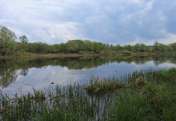 Fototapeta na wymiar Beautiful river, trees, reflections in the homeland of Sergei Yesenin. Spring