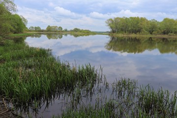 Beautiful river, trees, reflections in the homeland of Sergei Yesenin. Spring
