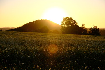 Sonnenaufgang, morgen früh