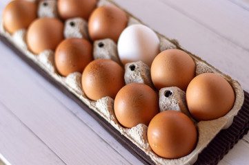a dozen free-range eggs with a white egg