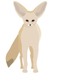 Standing fenech side view. Cute animal in cartoon style.