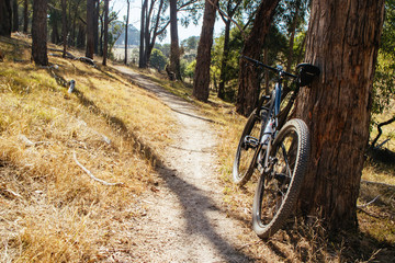Fototapeta na wymiar Smiths Gully Mountain Bike Park in Australia