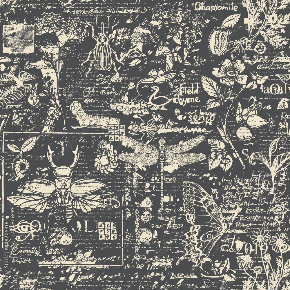 Fototapete vector seamless pattern with insects and herbs in retro style. abstract monochrome background with s