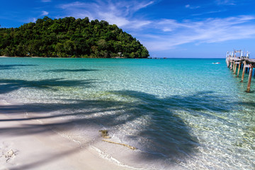 Silhouette of a palm trees on tropical beach remote island location Thailand