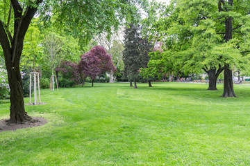 Fototapeta na wymiar city park, plants and grass