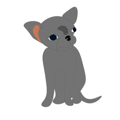 doggy